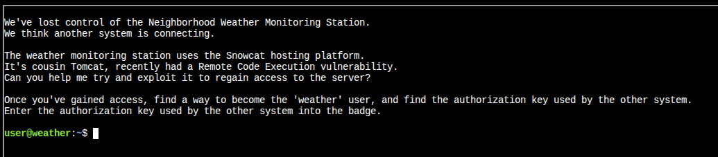 image-20251116064800117