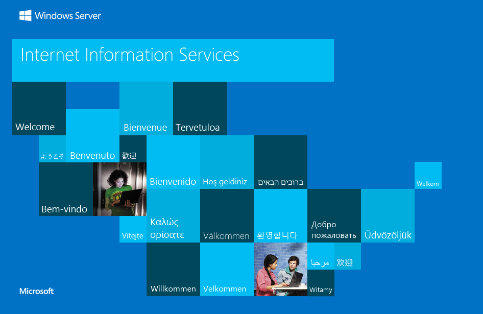 image-20260203081620256