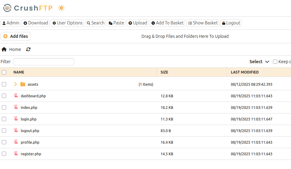 image-20260212201946907