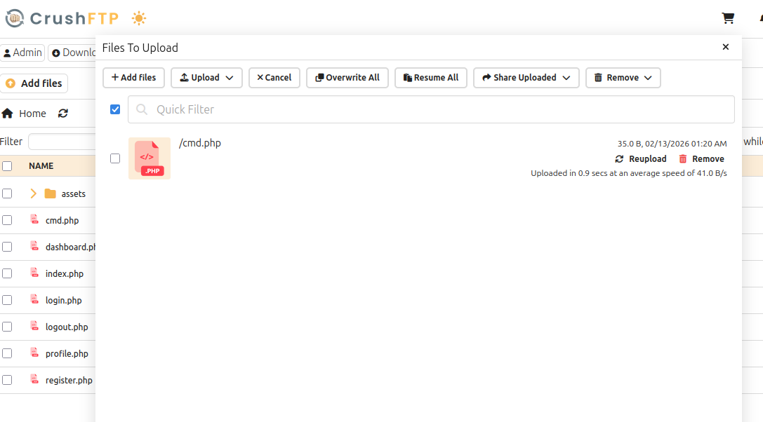 image-20260212202048499