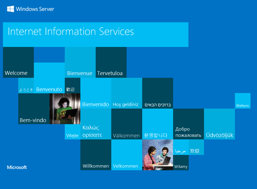 image-20260219072819230