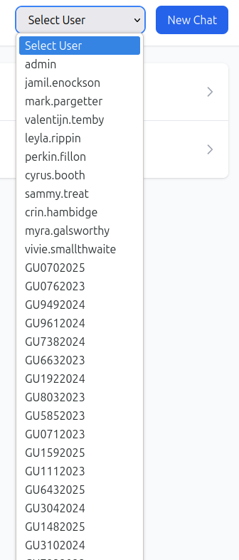 image-20260223171156532